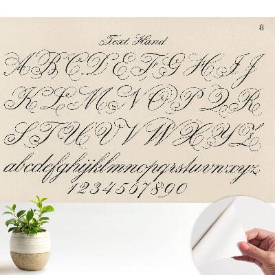 Tapeta fotograficzna samoprzylepna Kaligraficzny alfabet z wyszukanymi zawijasami