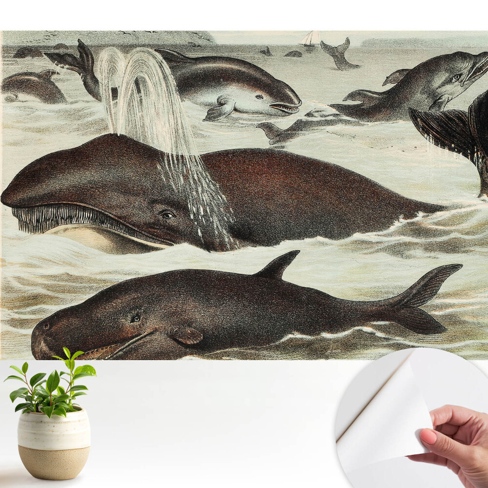 Fototapeta Wodna harmonia zwierząt