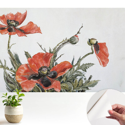 Fototapeta do salonu Delikatne maki na jasnym tle