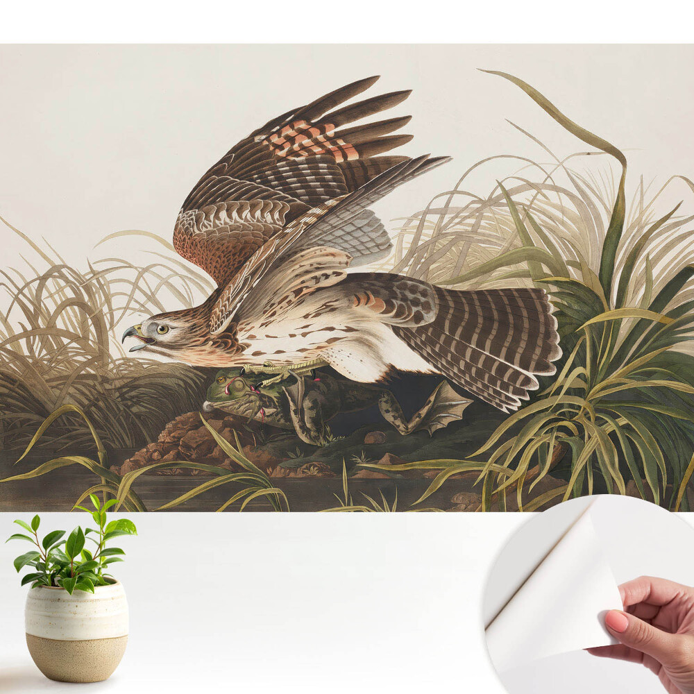 Tapeta fotograficzna samoprzylepna Ptak w locie pośród traw