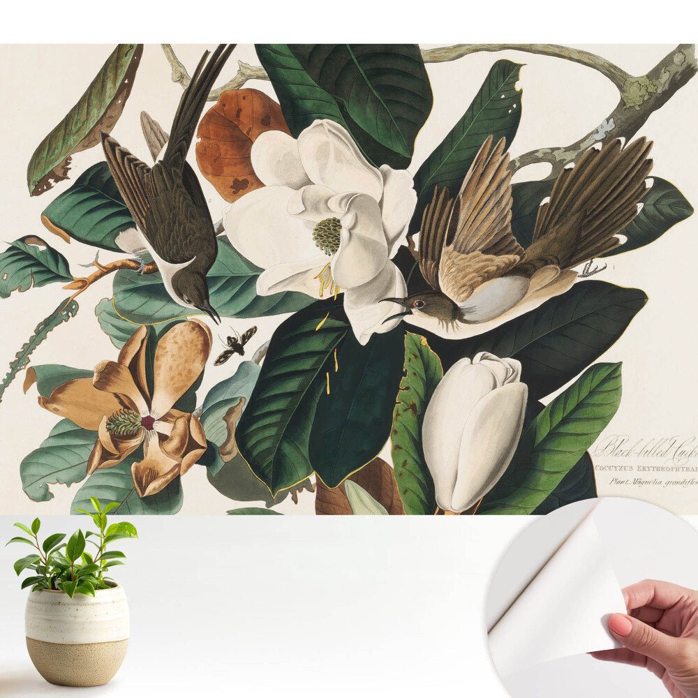 Tapeta fotograficzna samoprzylepna Magnolie i ptaki w klasycznej harmonii