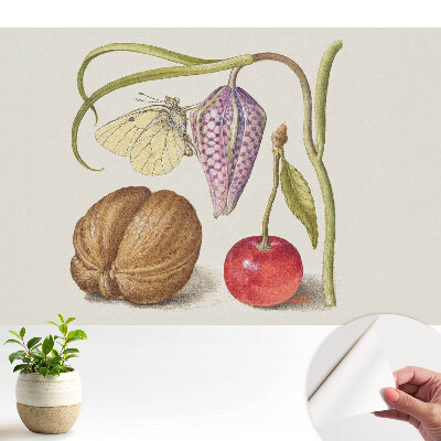 Fototapeta samoprzylepna do salonu Motyl na kwiatku liść i owoce