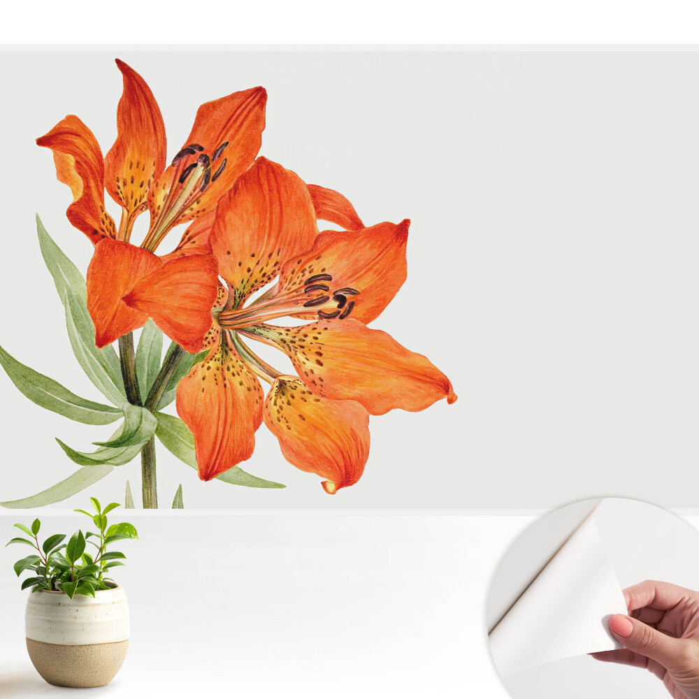 Tapeta fotograficzna samoprzylepna Pomarańczowa lilia subtelnie klasyczna