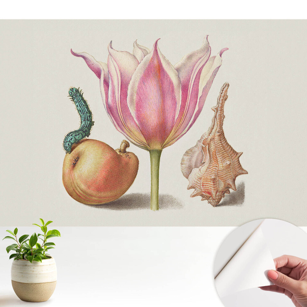 Tapeta fotograficzna samoprzylepna Kwiat gąsienica muszla harmonia.