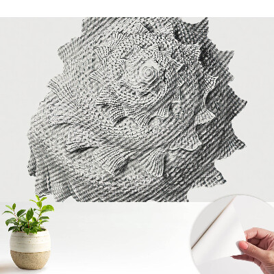 Fototapeta z nadrukiem samoprzylepna Muszla spiralna wizualna harmonia