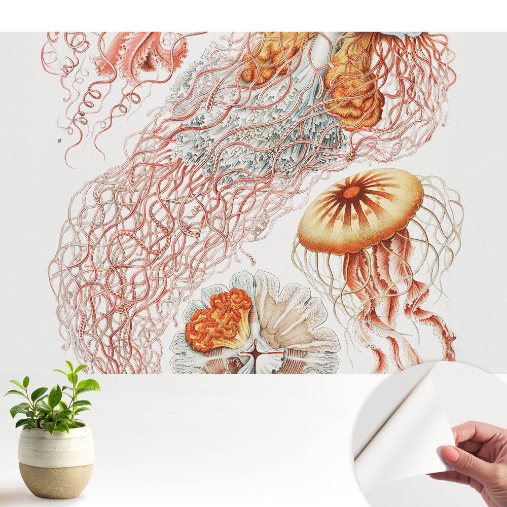 Tapeta fotograficzna samoprzylepna Artystyczne meduzy z detalami