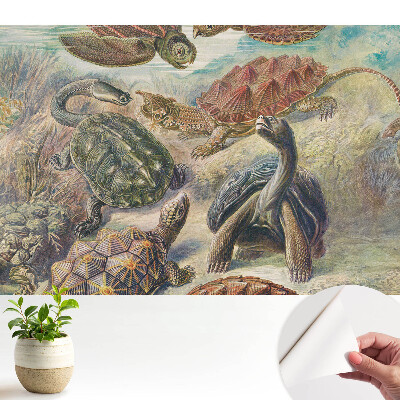 Fototapeta do salonu Różnorodne żółwie w wodnej scenerii