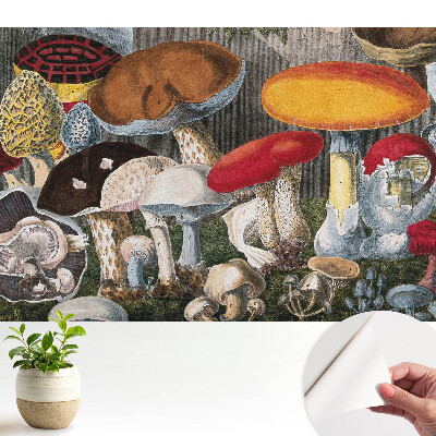 Tapeta fotograficzna samoprzylepna Różnorodność grzybów botaniczny styl