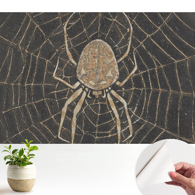 Tapeta fotograficzna samoprzylepna Pająk w sieci symetryczna klasyka