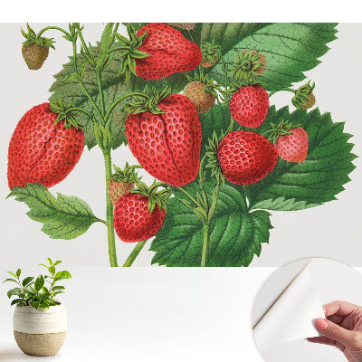 Tapeta fotograficzna samoprzylepna Truskawki na zielonym tle