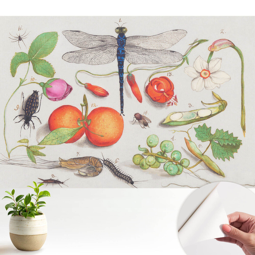 Tapeta fotograficzna samoprzylepna Botaniczny collage z owadami