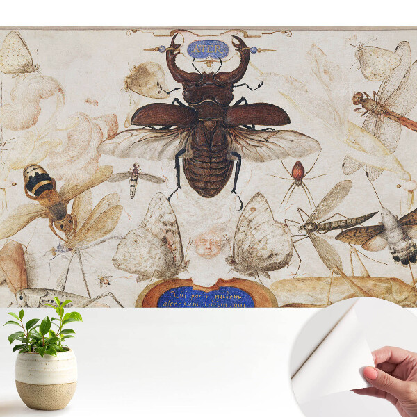 Tapeta fotograficzna samoprzylepna Owady motyle pająk klasyczna symetria