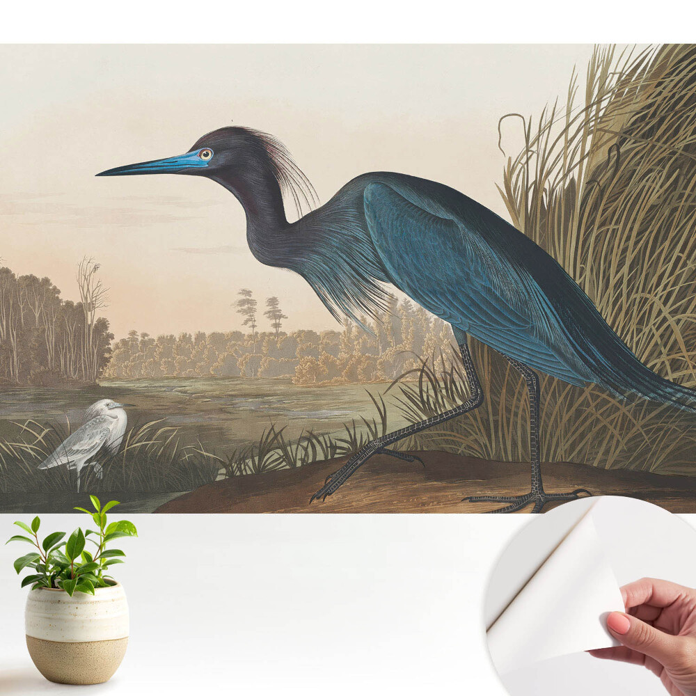 Fototapeta z nadrukiem samoprzylepna Klasika ptasi pejzaż