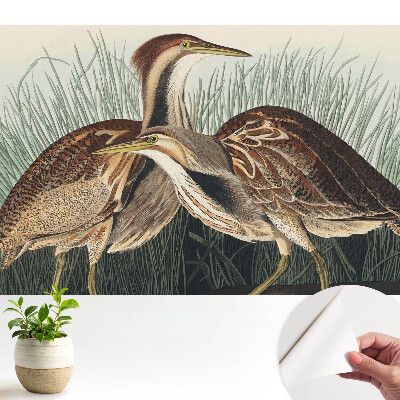 Fototapeta na wymiar do sypialni Ptaki w trawie klasyczna symetria realizmu