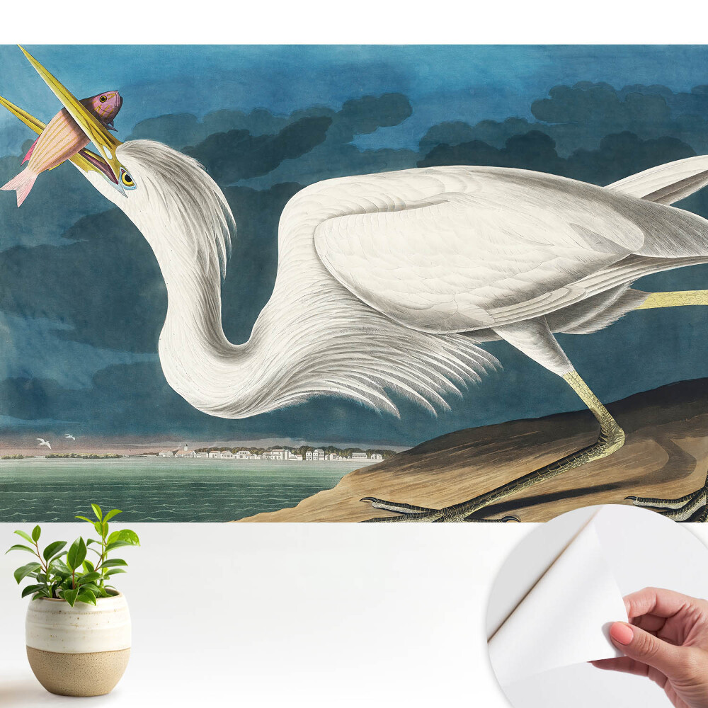 Fototapeta samoprzylepna do salonu Ptasia elegancja i natura