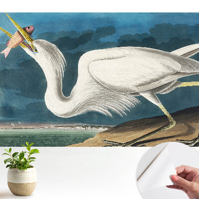 Fototapeta samoprzylepna do salonu Ptasia elegancja i natura