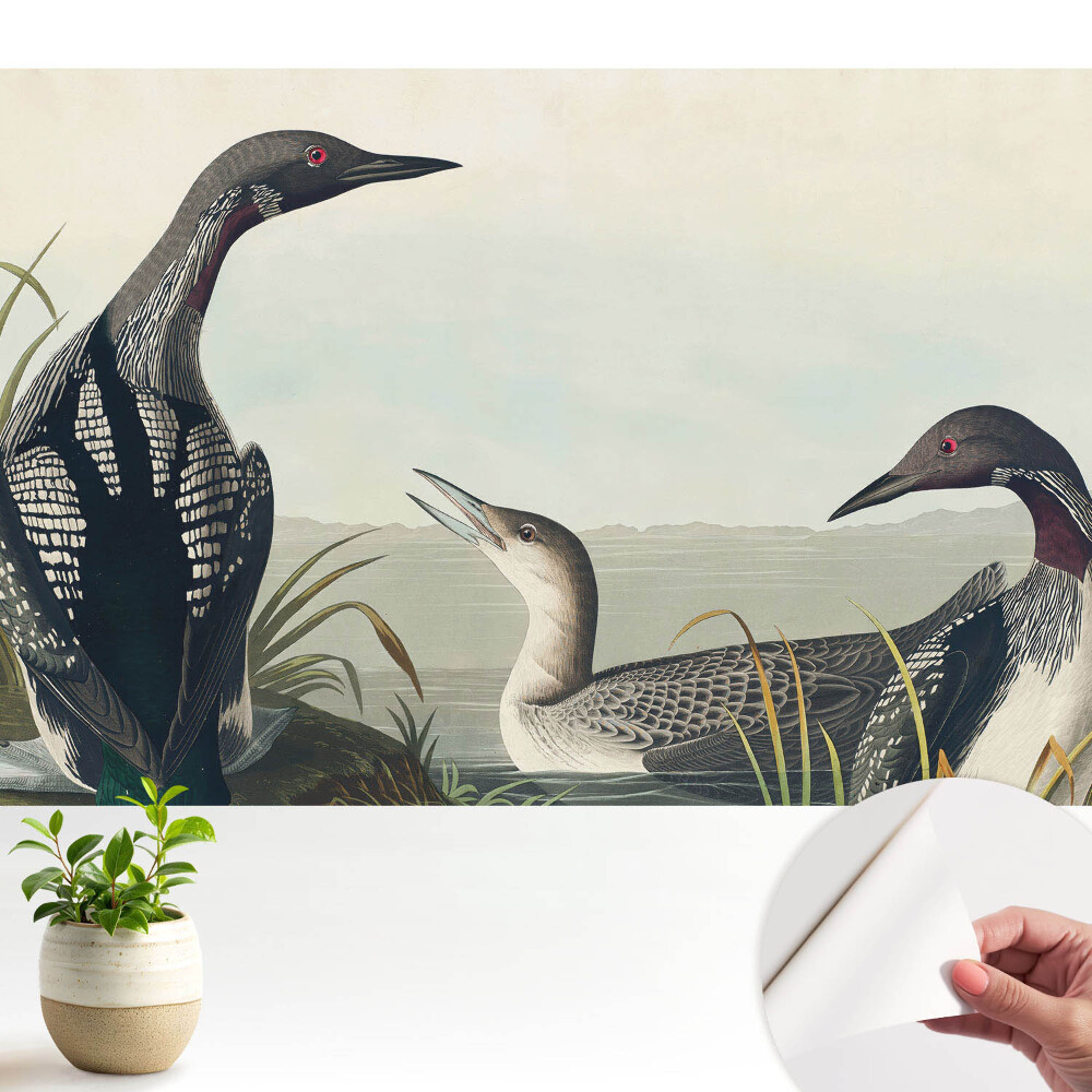 Tapeta fotograficzna samoprzylepna Trzy ptaki klasyczny styl.