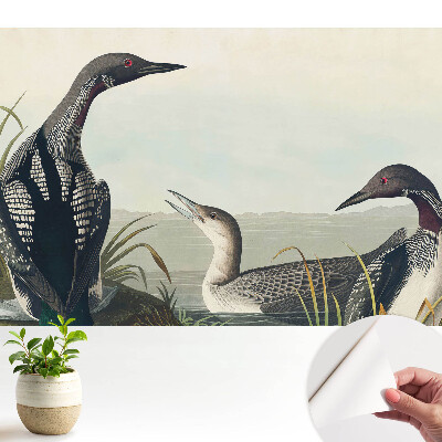 Tapeta fotograficzna samoprzylepna Trzy ptaki klasyczny styl.