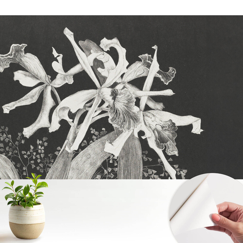 Tapeta fotograficzna samoprzylepna Eleganckie kwiaty na ciemnym tle