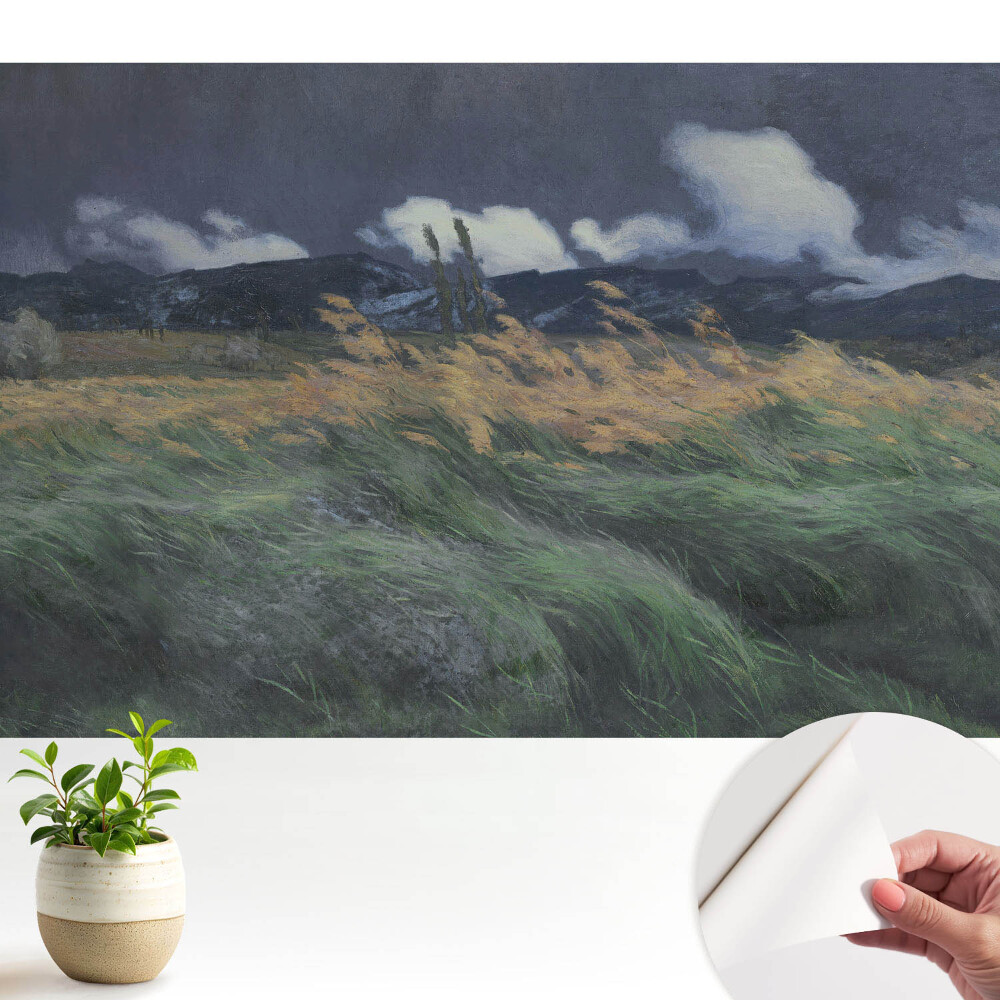 Tapeta fotograficzna samoprzylepna Pejzaż z chmurami i wiatrem