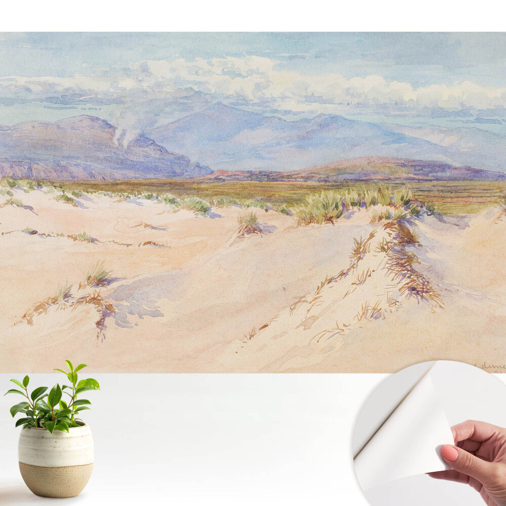 Fototapeta do salonu Pejzaż pustynny z odległymi górami