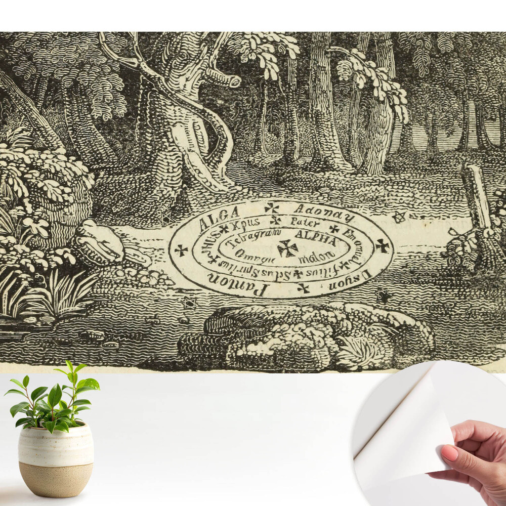 Fototapeta na wymiar do sypialni Mistyczny las ilustracja klasyczna