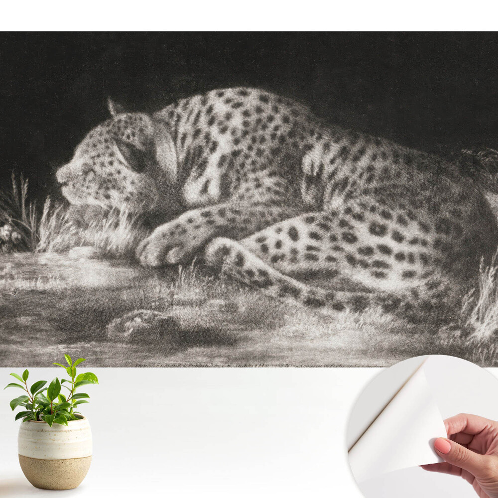 Tapeta fotograficzna samoprzylepna Lampart odpoczywający w trawie