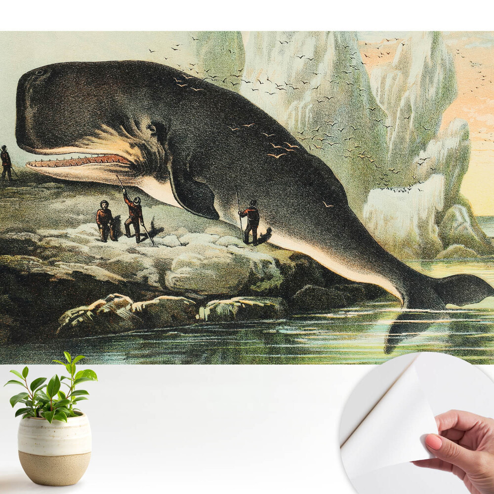 Tapeta fotograficzna samoprzylepna Kaszalot przy brzegu w klasycznej scenerii