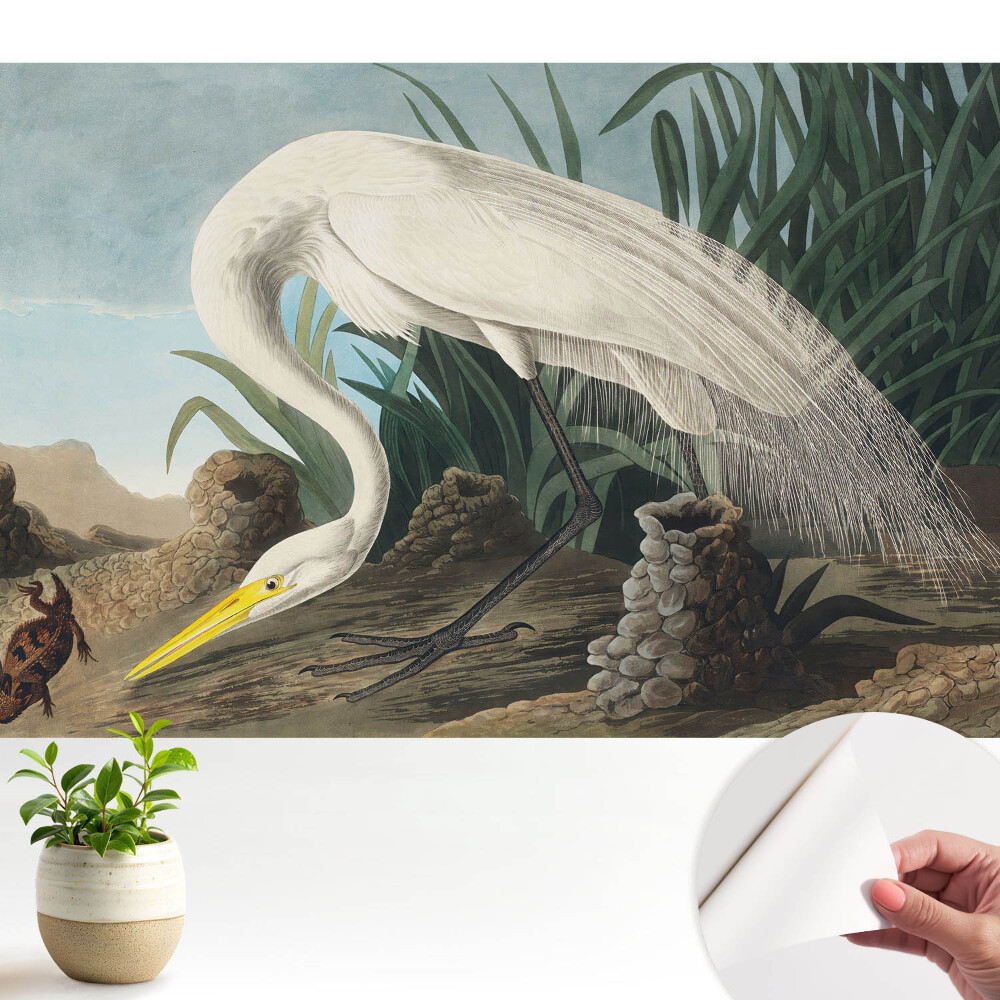 Tapeta fotograficzna samoprzylepna Czapla wśród traw