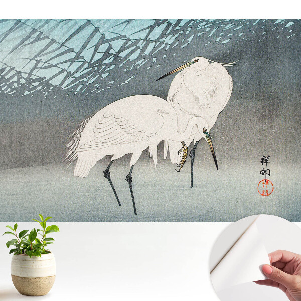 Fototapeta do salonu Tradycyjne ptaki elegancja detal woda spokój