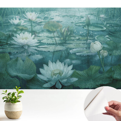 Fototapeta Magiczny staw lilii