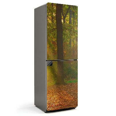 Mata magnetyczna na lodówkę Leśna magia w ujęciu graficznym