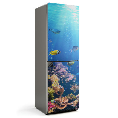 Mata magnetyczna na lodówkę Koralowe krainy głębin