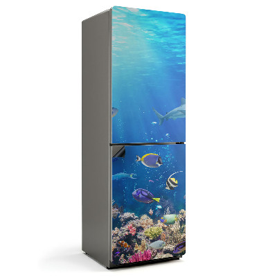 Mata magnetyczna na lodówkę Morska kraina ryb