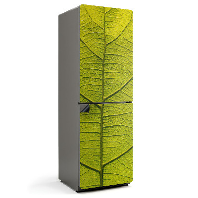 Mata magnetyczna na lodówkę Liściaste detale roślinne