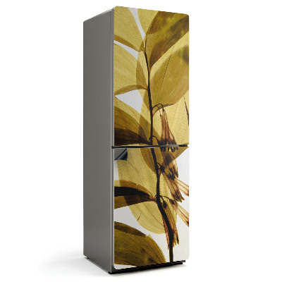 Mata magnetyczna na lodówkę Kwiatowe i liściaste przejrzystości