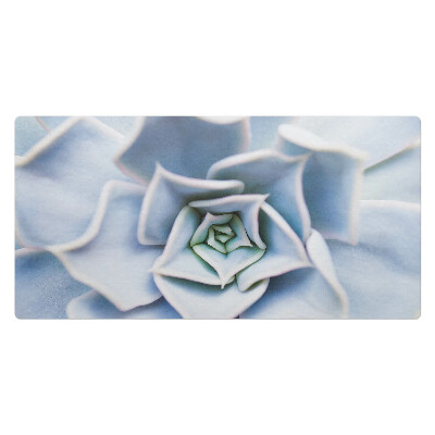 Podkładka na całe biurko Sukulenty spiralne