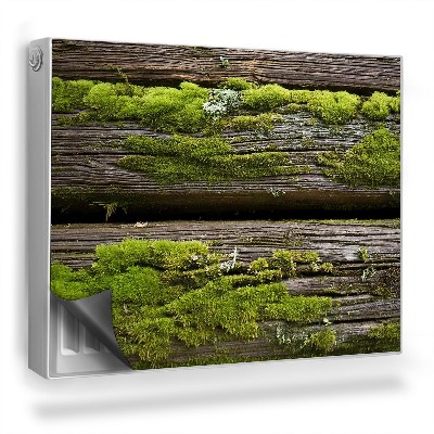 Mata magnesowa na kaloryfer Drewniane stare deski pokryte mchem