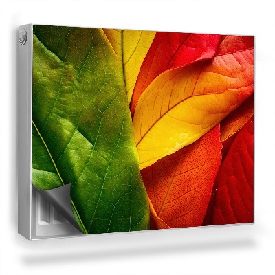 Mata magnetyczna na grzejnik Zbliżenie na kolorowe liście rośliny