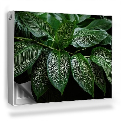 Mata magnesowa na kaloryfer Gałąź z tropikalnymi lśniącymi liśćmi