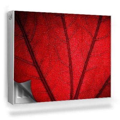 Mata magnetyczna na grzejnik Żyłki liścia naturalna tekstura roślinna