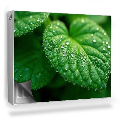 Mata magnesowa na kaloryfer Zbliżenie na liść i krople rosy