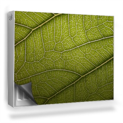 Mata magnetyczna na grzejnik Zoom układu użyłkowania liścia