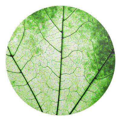 Podkładka pod krzesło okrągła Liść - struktura żyłek