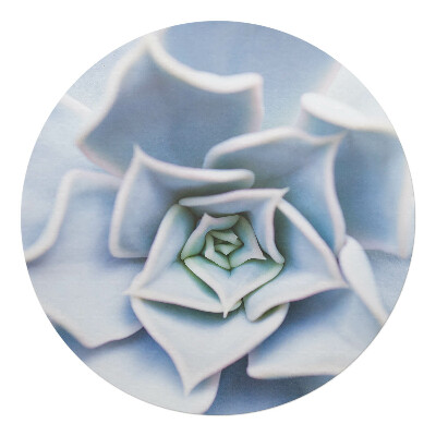 Podkładka pod krzesło obrotowe okrągła Sukulenty spiralne
