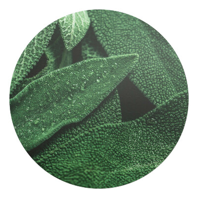 Mata na podłogę pod krzesło okrągła Liście z bliska