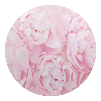 Podkładka pod krzesło okrągła Pastelowe piwonie