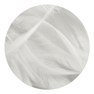 Podkładka pod krzesło okrągła Delikatne pióra