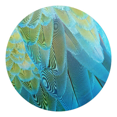 Podkładka pod krzesło obrotowe okrągła Pióra ptaka z bliska