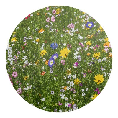 Podkładka pod krzesło okrągła Kwiecista łąka